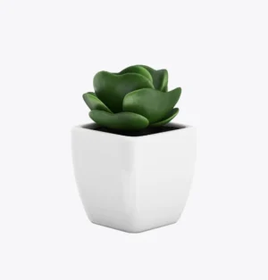 product-image-9_optimized Sollicitudin Aliquam